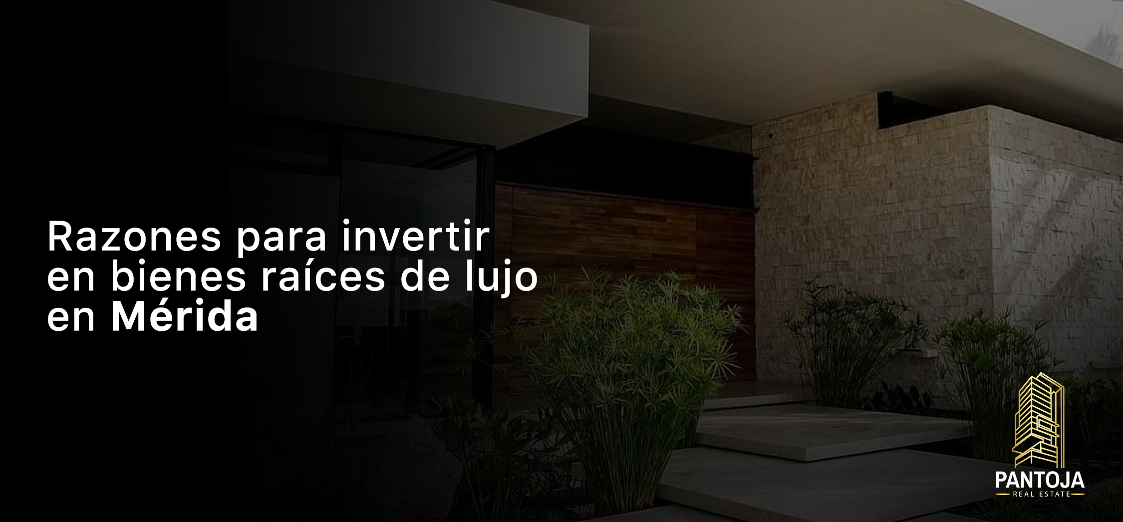 Lee más sobre el artículo Razones para invertir en bienes raíces de lujo en Mérida