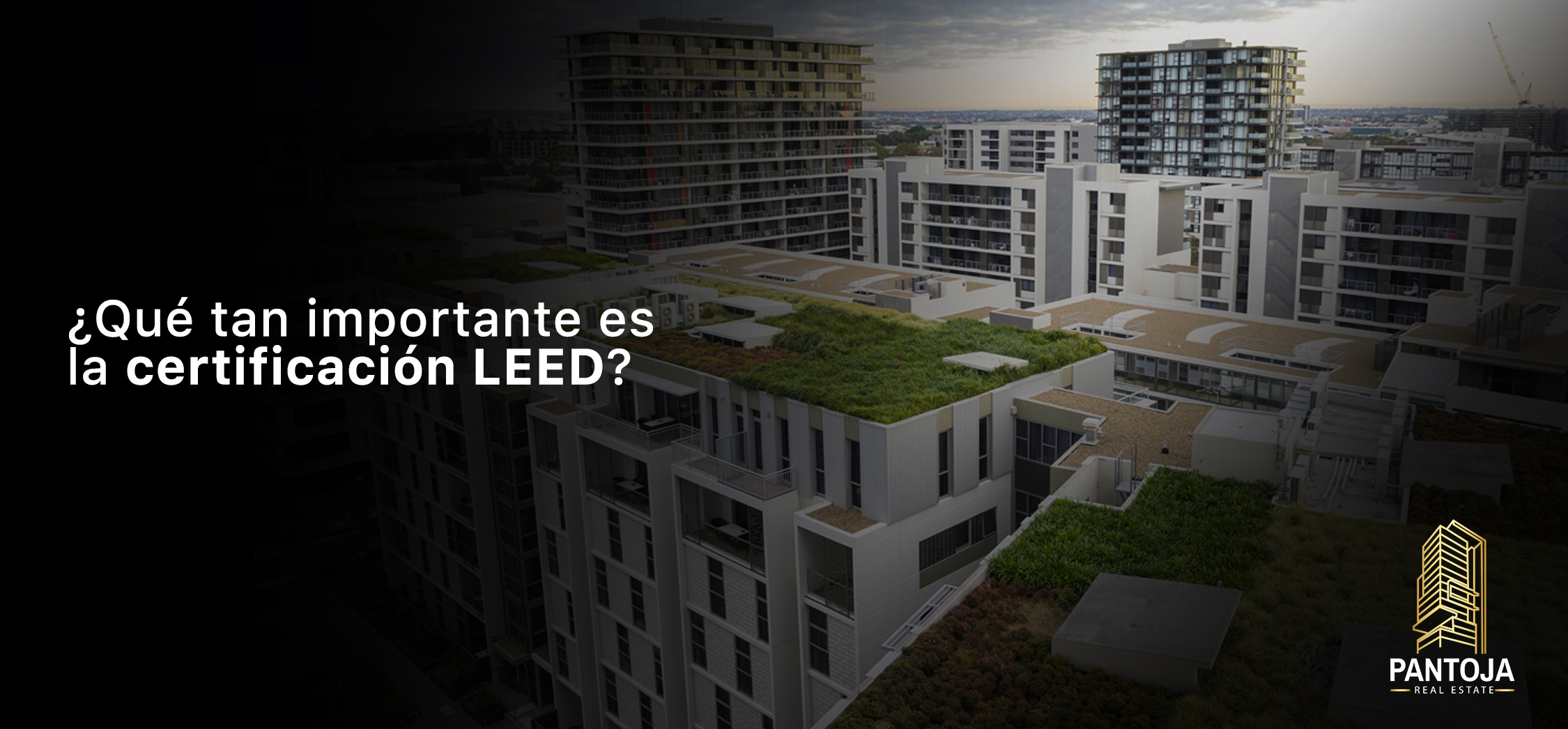 Lee más sobre el artículo ¿Qué tan importante es la certificación LEED?